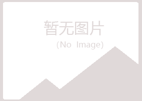 日照岚山摆布会计有限公司